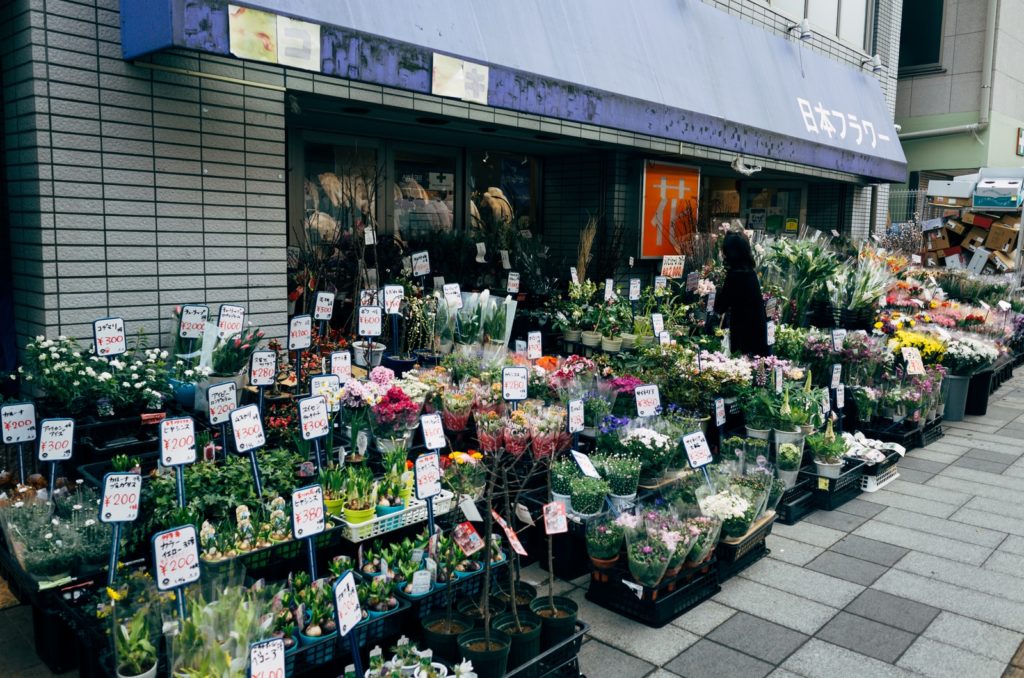 green and purple vegetable display